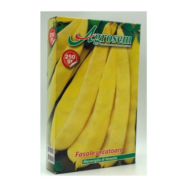 Semințe de fasole Meraviglia di Venezia cu păstaia lată, 250 g