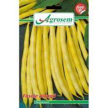 Seminte fasole oloaga ROQUENCOURT  100 gr